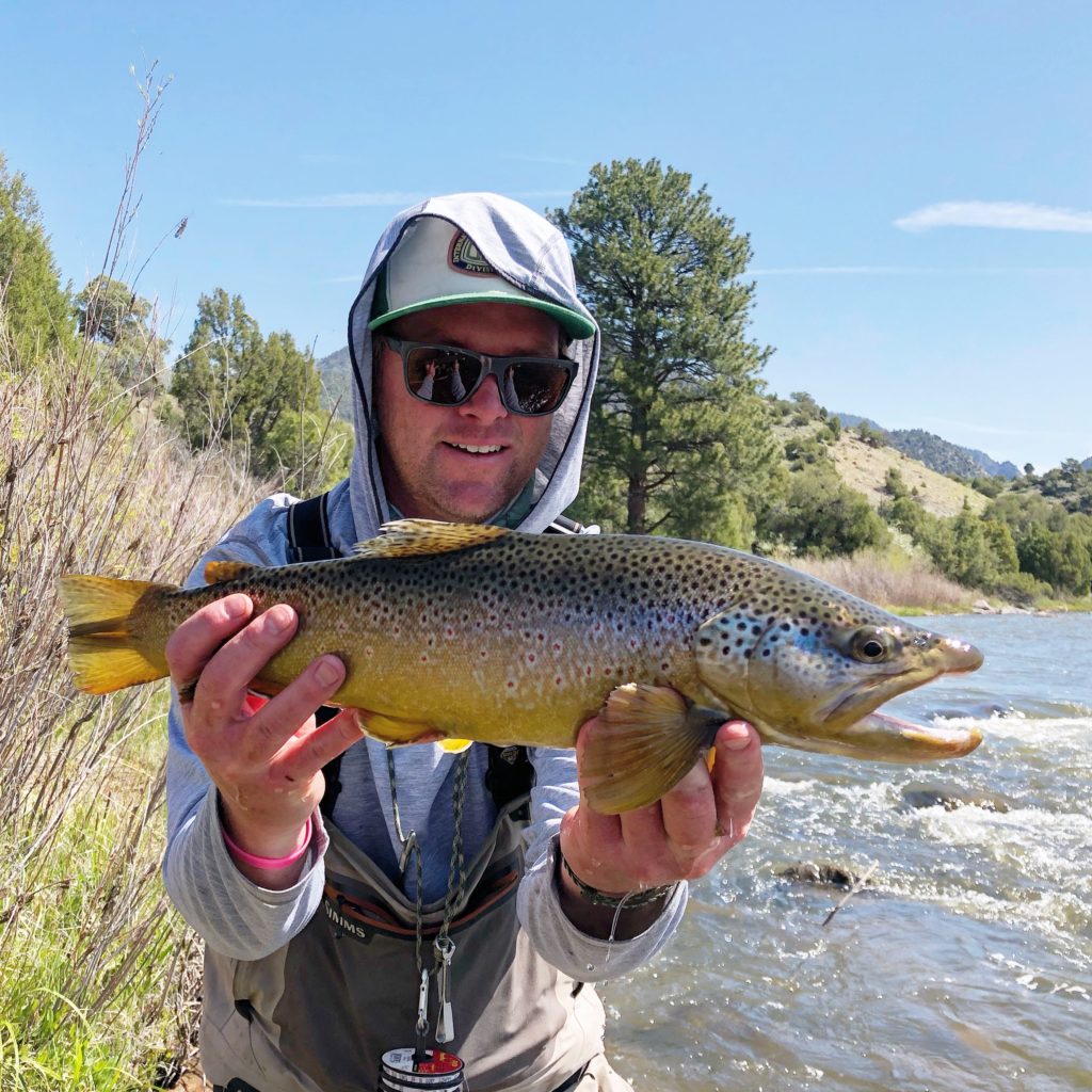 Salmonfly Hatch Colorado River June 2019 June 4, 2019